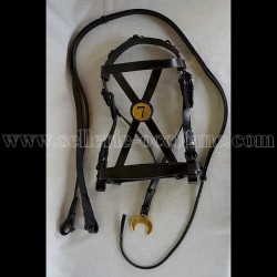 Light cavalry bridle 7th Hussar troop model 1st Empire.