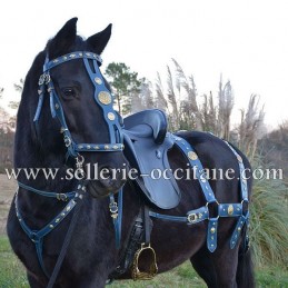 SET SPARTACUS bridle, breast collar and large breeching