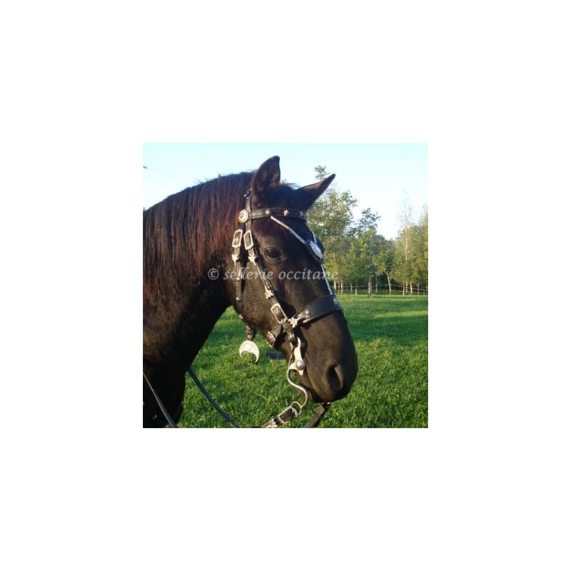 Bridle TRENCAVEL Bridle TRENCAVEL